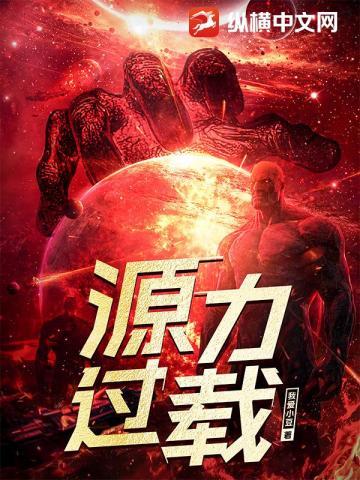 源力过载百科