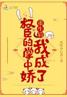 重生后我成了权臣的掌中娇877