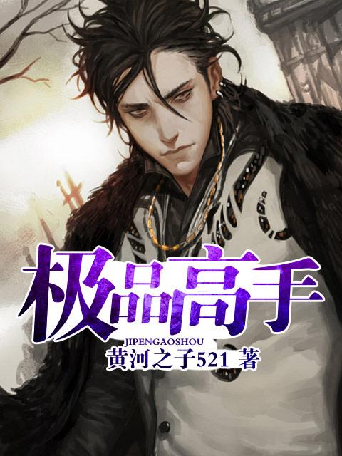 极品高手俏佳人免费阅读全文