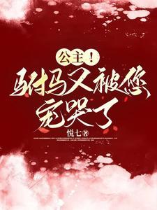 公主来找你了 毁魅吧